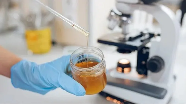 روش صحیح تشخیص عسل طبیعی از تقلبی